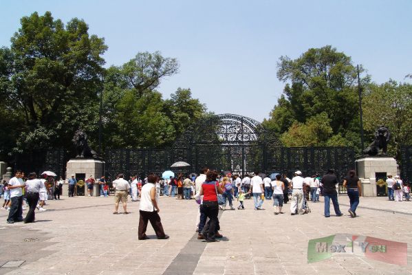 Chapultepec :Reapertura /Reopening 01-13
El día de hoy se llevó a cabo la reapertura del Bosque de Chapultepec, después 8 meses de restauración. 

Today was carried out the Chapultepec woods reopening, after 8 months of restauration works. 


Keywords: Chapultepec/ Reabertura, Reopening