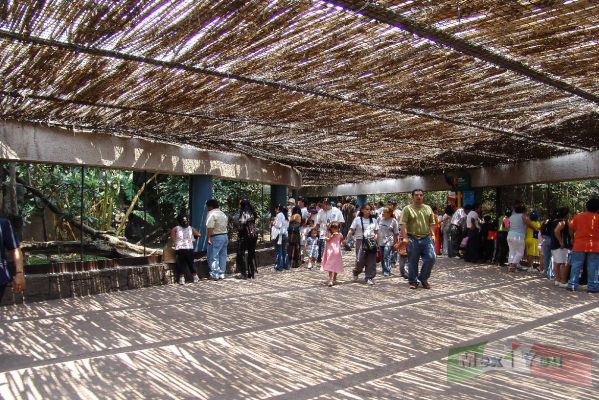 Chapultepec :Reapertura /Reopening 12-13
En el caso del Zoológico también se dió servicio gratuíto y muchas familias mexicanas pudieron disfrutar de su paseo. 

The zoo gave a free service, so many Mexican families could enjoy the trip. 
Keywords: Chapultepec/ Reabertura, Reopening