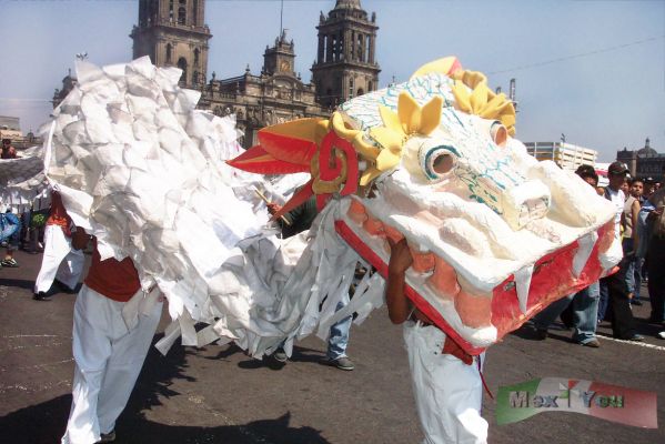 Dia del Tambor/Drum Day 10-14
Pudimos ver también a nuestro Quetzalcoatl  que con movimientos serpenteantes bailaba a lo largo del Zócalo. 

We could also see our Quetzalcoatl that with snake movements danced throughout the 'Zócalo'
Keywords: Día del tambor y la africanía/ Drum Day and Africanía