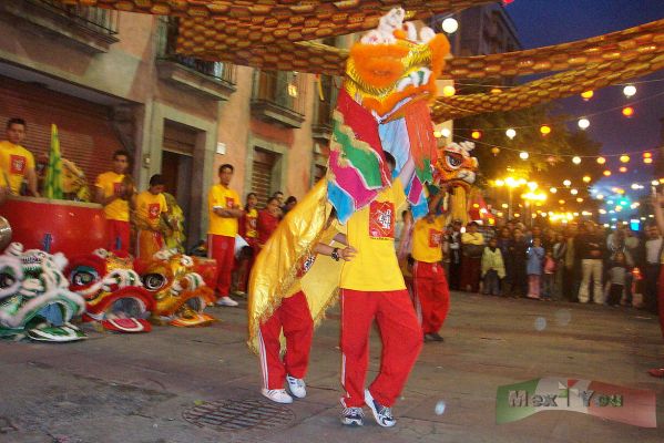 Festival de los Faroles/Lantern Festival 04-12
Para continuar siguiÃ³ la danza de los leones del sur a cargo de los niï¿½os de la comunidad China. 

Later followed the  south lions dance   in charge of the  Chinese community children.
Keywords: Festival  Faroles Lantern Festival barrio chino china leon lion