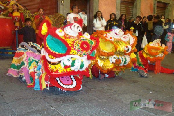 Festival de los Faroles/Lantern Festival 06-12
Aquï¿½ podemos ver el  'Despertar' de los leones para iniciar la danza.

Here we can see the ' Awaking ' of the lions to initiate the dance.
Keywords: Festival  Faroles Lantern Festival barrio chino china leon lion