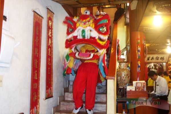 Festival de los Faroles/Lantern Festival 08-12
La gente en los restaurantes admirÃ³  y pudo disfrutar desde su asiento las bellas danzas. 

People in the restaurants admired and could enjoy from their  seat the beautiful dances.
Keywords: Festival  Faroles Lantern Festival barrio chino china leon lion