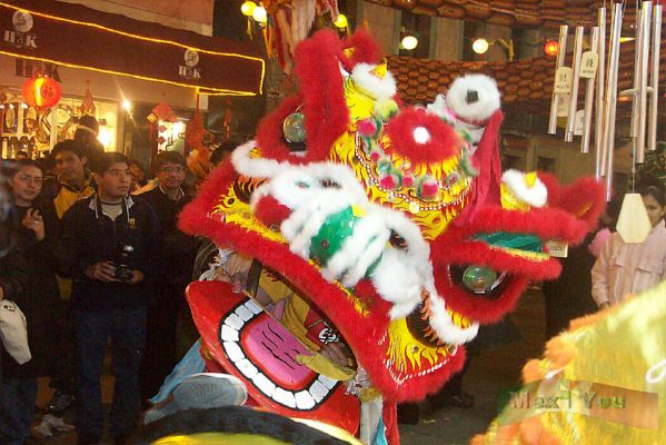 Festival de los Faroles/Lantern Festival 09-12
Los leones danzan afuera de los negocios del Barrio Chino para traerles suerte durante el aÃ±o.

The lions dance out in the entrance of the bussiness located in the China Town to bring the good luck during the year.
Keywords: Festival de los Faroles/Lantern Festival china leon china chinese lion