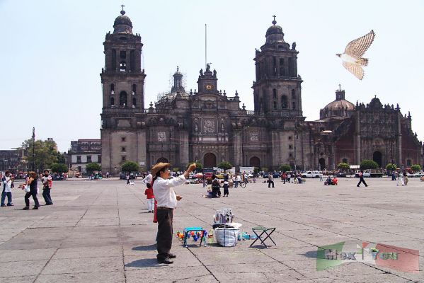  Concierto de Paul Mccartney en el ZÃ³calo  y ProtecciÃ³n Civil lista (03-03)
El Secretario de Turismo indico que lo mÃ¡s importante de este concierto es la ImagÃ©n Nacional e Internacional que se tendra de la Ciudad de MÃ©xico asÃ­ como la derrama econÃ³mica del 90% unicamente por ese dÃ­a que en Hospedaje se tiene contemplado de 25,000 a 30,000 millones de pesos  y de Restaurantes 60,000 millones.

Contara con un total de 7 pantallas se situarÃ¡n en 20 de Noviembre, en sus cruces con el ZÃ³calo y Venustiano Carranza; en Palacio Nacional, 5 de Febrero y Pino SuÃ¡rez, las tres en la esquina mÃ¡s cercana al ZÃ³calo, y ademÃ¡s estarÃ¡ la pantalla del escenario, que mide 6 por 4 metros.

Text and Photo by: YanÃ­n RamÃ­rez
Keywords: paul mccartney zÃ³calo concierto gratuito 10 de mayo dÃ­a de las madres