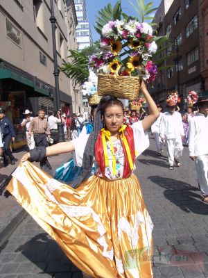 Guelaguetza Zocalo 02-13
A lo largo del recorrido pudimos observar la belleza de los atuendos y escuchar  la mÃºsica de las bandas Oaxaqueï¿½as. 

In the route we could see the beauty of the clothes and hear the music performed by the Oaxaqueï¿½as bands. 
Keywords: Guelaguetza Zocalo oaxaca