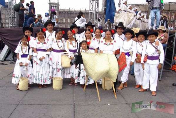 Guelaguetza Zocalo 08-13
Aquï¿½ podemos ver al grupo de la danza del Torito Serrano de San Pablo Macuiltianguis.

Here we could see the dancers of the ' Torito Serrano '  from San Pablo Mcuailtianguis. 
Keywords: Guelaguetza Zocalo oaxaca