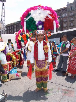 Guelaguetza Zocalo 12-13
Aquï¿½ podemos ver a un bailarin de la Danza de la Pluma, con el cual terminï¿½ este hermoso evento de este dï¿½a. 

We could see a dancer of the  ' Feather Dance', which ended this beautiful event for this day. 
Keywords: Guelaguetza Zocalo oaxaca danza de la pluma