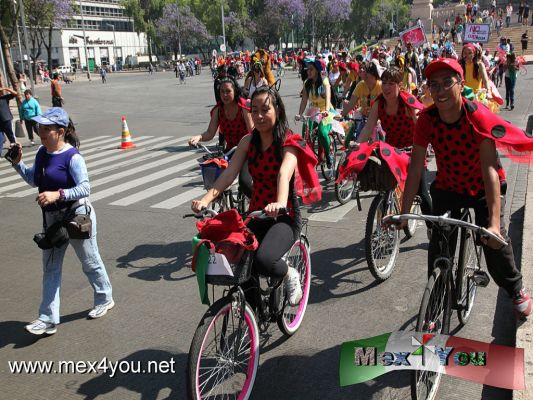 1er Carnaval Primavera "Muevete en Bici 2011" (01-06)
El domingo 20 de marzo se llevÃ³ a cabo con motivo de la llegada de la Primavera a la Ciudad de MÃ©xico, el Programa MuÃ©vete en Bici en el paseo dominical en bicicleta.


Photo by: JesÃºs SÃ¡nchez
Keywords: primer carnaval primavera muevete bici first carnival spring move it bike paseo reforma avenida avenue ciudad mexico city 