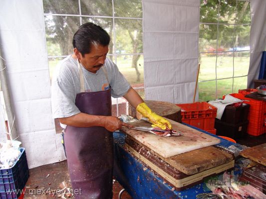 Feria de Productos del Mar y del Campo / Sea and Field Fair CoyoacÃ¡n 2007  (02-05)
En esta feria se ofreciÃ³ pescado fresco desde 10$ el kilo. La venta de productos del mar estuvo a cargo del estado de Baja California, el cual forma parte del programa El Mar Inunda Tu Ciudad.

In this fair was offered fresh fish the kilo from 10$. The product sale of the sea was in charge of the Baja California state, which comprises of the program the Sea Floods Your City.
Keywords: feria productos mar campo sea field fair Coyoacan