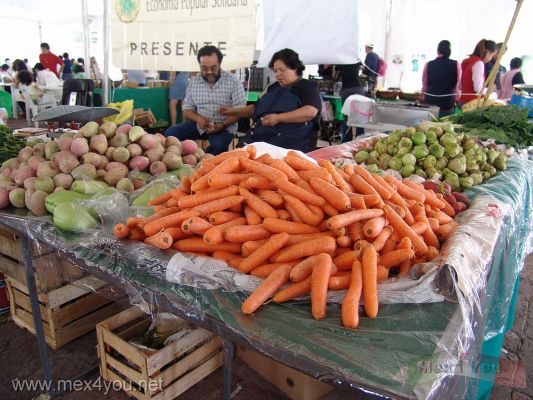 Feria de Productos del Mar y del Campo / Sea and Field Fair CoyoacÃ¡n 2007  (04-05)
En este evento participaron 32 expendedores procedentes de Baja California, MichoacÃ¡n y el Distrito Federal. Los precios bajos en vegetales como: pescado fresco desde 10$ el kilo, aguacate a 25$ y apio a 6$ kilo.

In this event participated 32 retailers from Baja California , MichoacÃ¡n and the Federal District. The low prices in vegetables like: fresh fish from 10$ the kilo, avocado to 25$ and celery to 6$ kilo
Keywords: feria productos mar campo sea field fair Coyoacan