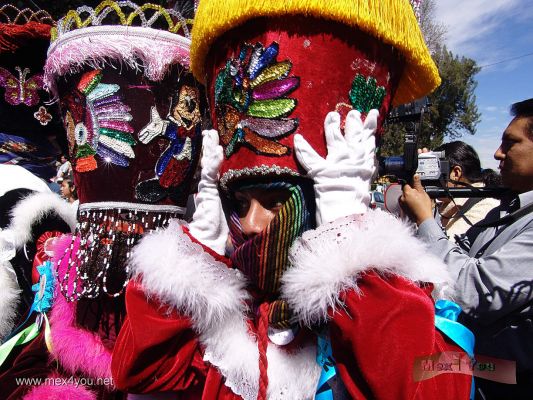 Dia de la Candelaria / Candlemas Day 2007  Xochimilco (02-12)
Los tradicionales Chinelos bailaron a lo largo de las principales avenidas de Xochimilco acompaÃ±ados por una banda que acompaÃ±aba sus Ã¡giles pasos.

The Traditional Chinelos danced throughout the main avenues of Xochimilco accompanied by a band that accompanied its agile steps.
Keywords: Dia Candelaria Xochimilco niÃ±opa candlemas chinelos