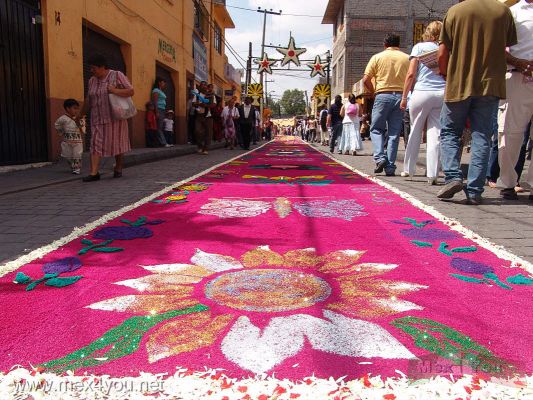 CelebraciÃ³n del SeÃ±or de la Misericordia / Mercy's Lord Celebration 2006 (02-14)
En la Avenida Zapata que da hacia el templo de La Candelaria estaba tapizado de las hermosas decoraciones de aserrin elaboradas un dÃ­a antes durante la madrugada.

In the Zapata Avenue which it gives towards the Candlemas Temple  was upholstered of the beautiful sawdust decorations elaborated a day before during the dawn. 
Keywords: SeÃ±or de la misericordia Mercy Lord Coyoacan Pueblo de la candelaria tapetes de aserrin sawdust rug