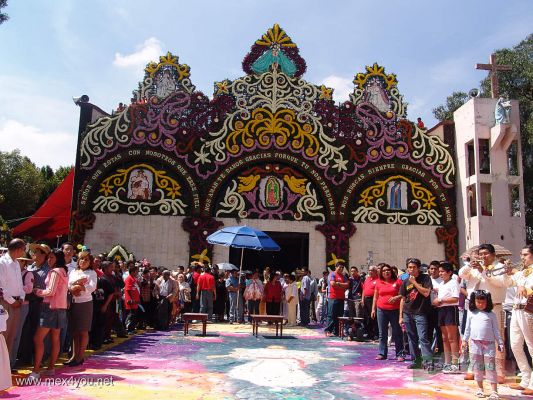 CelebraciÃ³n del SeÃ±or de la Misericordia / Mercy's Lord Celebration 2006 (05-14)
Los hermosos tapetes lucieron con un hermoso y caluroso dÃ­a.

The beautiful rugs shone with a beautiful and warm day. 
Keywords: SeÃ±or de la misericordia Mercy Lord Coyoacan Pueblo de la candelaria tapetes de aserrin sawdust rug
