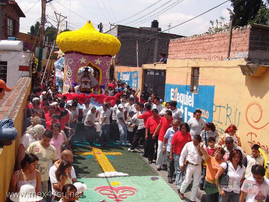 CelebraciÃ³n del SeÃ±or de la Misericordia / Mercy's Lord Celebration 2006 (07-14)
El recorrido comienza penÃ³samente por la avenida Zapata, la cual es muy estrecha, pero la gente hace gala de organizaciÃ³n.

The route laboriously begins by the Zapata avenue, who is very narrow, but people display organization. 
Keywords: SeÃ±or de la misericordia Mercy Lord Coyoacan Pueblo de la candelaria tapetes de aserrin sawdust rug