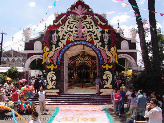 CelebraciÃ³n del SeÃ±or de la Misericordia / Mercy's Lord Celebration 2006 (08-14)
Mientras el Templo de los Santos Reyes tambiÃ©n estaba decorado esperando la llegada del SeÃ±or de la Misericordia.

While in the Temple of the Holy Kings also was decorated and waiting for the arrival of the Mercy Lord. 
Keywords: SeÃ±or de la misericordia Mercy Lord Coyoacan Pueblo de la candelaria tapetes de aserrin sawdust rug Templo de los Reyes King temple