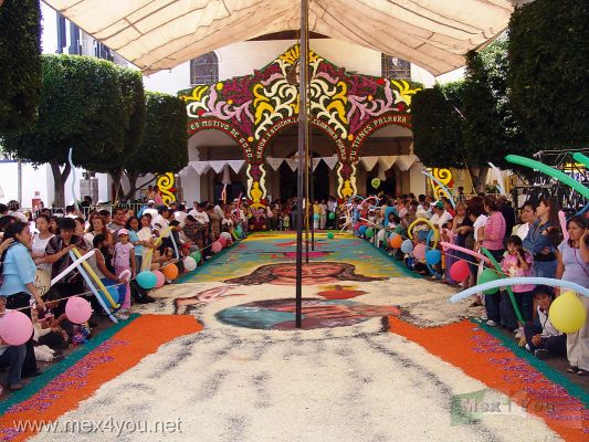 CelebraciÃ³n del SeÃ±or de la Misericordia / Mercy's Lord Celebration 2006 (09-14)
A la entrada del templo pudimos apreciar un bello tapete decorado con la imÃ¡gen de Jesucristo y la gente esperaba con fÃ©.

To the entrance of the temple we could appreciate a beautiful rug decorated with the image of Jesus Christ and people hoped with faith. 
Keywords: SeÃ±or de la misericordia Mercy Lord Coyoacan Pueblo de la candelaria tapetes de aserrin sawdust rug Templo de los Reyes King temple