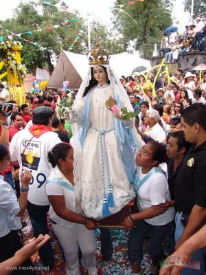 CelebraciÃ³n del SeÃ±or de la Misericordia / Mercy's Lord Celebration 2006 (10-14)
Cada una de las " Andas " que portaban una imÃ¡gen fueron llevadas al interior del Templo de los Reyes.

Each one of the â€œAndasâ€ that they carried an image were taken to the interior of the Temple of the Kings. 
Keywords: SeÃ±or de la misericordia Mercy Lord Coyoacan Pueblo de la candelaria tapetes de aserrin sawdust rug Templo de los Reyes King temple Candelaria