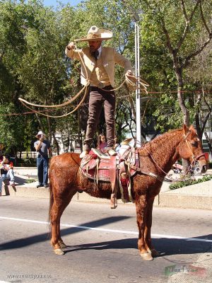 Dia de Reyes 2007 / Epiphany Day 2007 (09-16)
El grupo de Charros de  mostraron la habilidad de nuestro deporte nacional.

The group of Charros of showed the ability of our national sport.
Keywords: dia de reyes magos epiphany three wisdom men auditorio charros cabalgata de los reyes charreria mexicana charro 