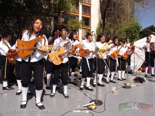 Dia de Reyes 2007 / Epiphany Day 2007 (12-16)
La mÃºsica de las estudiantinas acompaÃ±Ã³ a todo el evento con su gran mÃºsica y ritmo.

The music of the estudiantinas accompanied to all the event with its great music and rhythm 
Keywords: dia de reyes magos epiphany three wisdom men auditorio estudiantinas cabalgata de los reyes