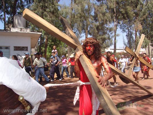 Via Crucis / Way of the Cross " Pueblo de la Candelaria " 2007 (08-11)
El via crucis  llegÃ³ hasta el parque Huayamilpas.

Viacrucis arrived until the Huayamilpas park.
Keywords: viernes santo friday  holy week semana santa cristo crucifixion candelaria town pueblo coyoacan huayamilpas