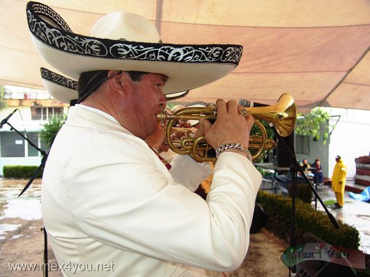 Festival del Mariachi 2006 / Mariachi Festival 2006  03- 08
El grupo que diÃ³ apertura al evento fuÃ©: El mariachi " Los Michoacanos " que hizo las delicias de los asistentes quienres escucharon lo mejor de la mÃºsica de nuestro paÃ­s.

The group that gave to opening to the event was: The mariachi â€œthe Michoacanosâ€ that made the delights of the assistants who  listened to the best  of the our music. 
Keywords: Mariachi festival coyoacan