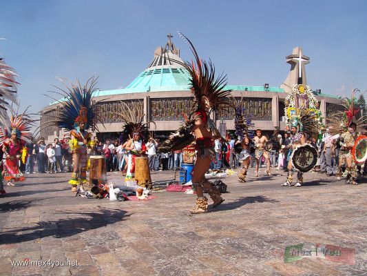 Dia de la Virgen de Guadalupe / Guadalupe Virgen Day (02-10) 2006
En la BasÃ­lica podremos observar a grupos de " Concheros " que dedican sus danzas y su mÃºsica a la Virgen de Guadalupe.

In the Basilica we will be able to observe groups of â€œConcherosâ€ that dedicate to their dances and their music to the Virgin of Guadalupe.
Keywords: Virgen Guadalupe basilica 12 diciembre december 12th