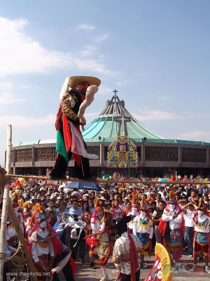 Dia de la Virgen de Guadalupe / Guadalupe Virgen Day (08-10) 2006
Los " Maromeros " tambiÃ©n hacÃ­an gala de habilidad al cruzar una cuerda.

The â€œMaromerosâ€ show their stunts a crossing a rope .
Keywords: Virgen Guadalupe basilica 12 diciembre december 12th