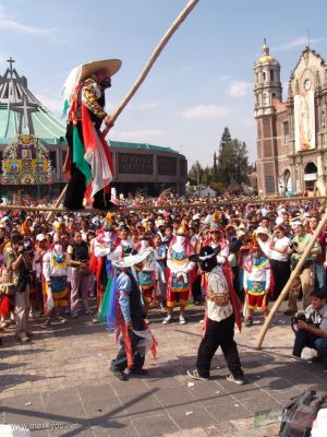 Dia de la Virgen de Guadalupe / Guadalupe Virgen Day 2006
Keywords: Virgen Guadalupe basilica 12 diciembre december 12th
