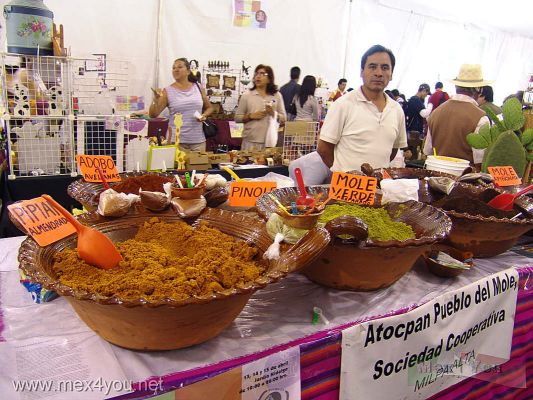 Feria Interdelegacional / Interdelegational Fair CoyoacÃ¡n 2007 (05-10)
Entre las delegaciones asistentes estaba la de Milpa Alta con sus sabrosos moles. 

The Milpa Alta delegation showed the delicious Mole.
Keywords: coyoacan delegaciones artesanos artesanias crafts milpa alta mole promosur