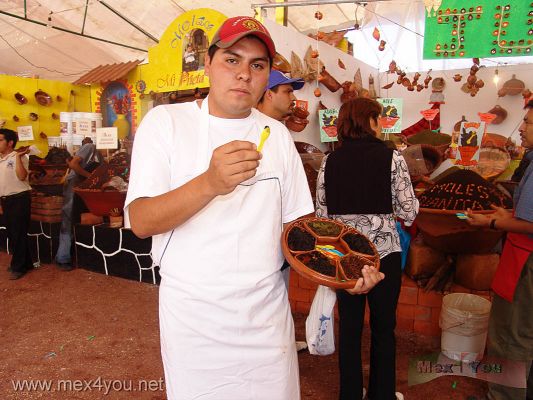 Feria del Mole / Mole Fair 2006  03 - 07
Al pasar por los puestos de las distintas casas fabricantes de este platillo hay encargados que le dan una cucharadita con una probadita de los distintos tipos de mole: El casero, El especial, El frutal, El almendrado, Con ajonjolÃ­, el PipiÃ¡n , etc.

In the different stands you could taste  the different types from mole: The caretaker, the special one, the fruit one , the almendrado one, With sesame, the PipiÃ¡n, etc. 
Keywords: feria mole fair milpa alta atocpan comida mexicana mexican food