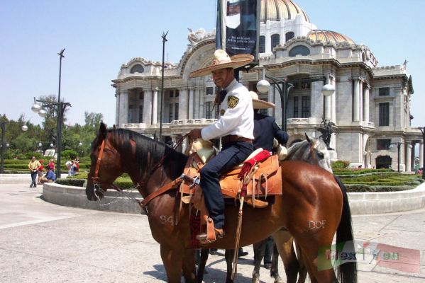 Policia Montada ( Mounted Police )
