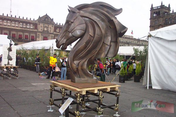 Feria del Libro en el ZÃ³calo ( Book Fair in the Zocalo)
