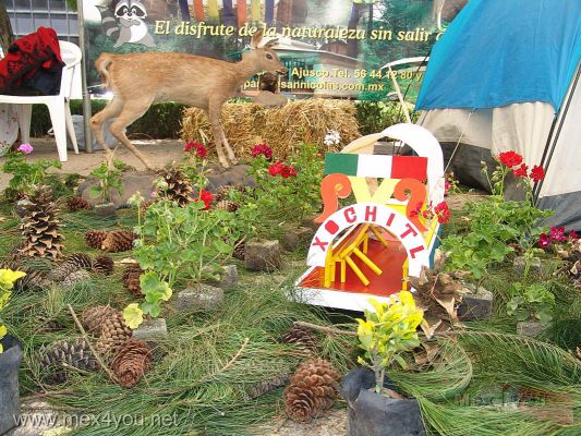 Eventos de Primavera / Spring Events Mexico City 2007  (03-09)
TambiÃ©n podrÃ¡ encontrar la presencia de organizaciones que promueven el ecoturismo en las delegaciones de Tlalpan y Xochimilco para que usted y sus niÃ±os puedan aprender a convivir y proteger a  la naturaleza.

Also you will be able to find the presence of organizations who promote the ecoturism in the delegations of Tlalpan and Xochimilco so that you and their children can learn to coexist and protect the nature. 
Keywords: primavera spring paseo de la reforma flores flower