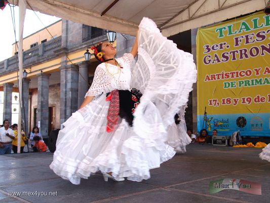 Eventos de Primavera / Spring Events Mexico City 2007  (06-09)
Con la presencia de eventos que promueven la cultura de nuestro paÃ­s, venta de artesanÃ­as donde los niÃ±os podrÃ¡n efectuar piezas de cerÃ¡mica, etc. 

With the presence of events that promote the culture of our country, sale of crafts where the children will be able to made their own ceramics pieces, etc.
Keywords: primavera tlalpan spring festival gastronÃ³mico gastronomic veracruz jarocho baile dance