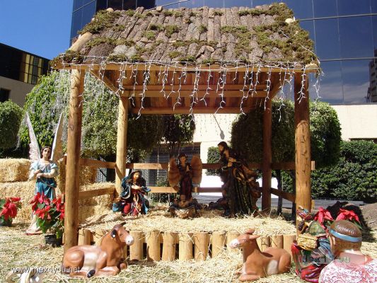 Nacimientos en el Paseo de la Reforma / Nativity Scenes in the ' Paseo de la Reforma ' 2005 (01-10)
Hasta el 8 de enero podrá usted disfrutar de la segunda exposición de Nacimientos en el Paseo de la Reforma. Este Nacimiento está ubicado enfrente del edificio de la Lotería Nacional.

Until January 8th  you will be able to enjoy the second exhibition of Nativity Scenes in the ' Paseo de la Reforma' avenue.  This one is located opposite of the building of the National Lottery.
Keywords: Nacimientos en el Paseo de la Reforma Navity Scenes Paseo de la Reforma avenue Navidad Christmas