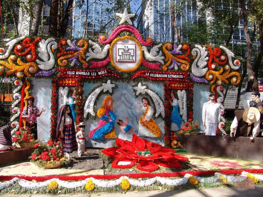 Nacimientos en el Paseo de la Reforma / Nativity Scenes in the ' Paseo de la Reforma ' 2005 (01-10)
Aquí tenemos una bella muestra elaborada con flores naturales de la delegación Iztacalco.

Here we have a beautiful sample elaborated with natural flowers from the Iztacalco delegation.
Keywords: Nacimientos en el Paseo de la Reforma Navity Scenes on the Paseo de la Reforma avenue Navidad Christmas