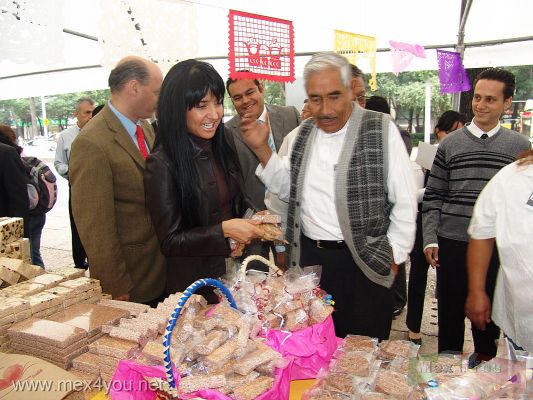 Feria Artesanal Delegaciones del Sur / South Delegations  Craft Fair 2007  (02-10)
La Secretaria de Turismo: Alejandra Barrales hizo un recorrido por los stands y confirmÃ³ la variedad y belleza de las artesanÃ­as y productos de los artesanos de la Ciudad de MÃ©xico.

The Secretary of Tourism: Alejandra Barrales made a route by stands and confirmed the variety and beauty of the crafts and products of the craftsmen of  Mexico City.
Keywords: feria artesanal delegaciones del sur paseo de la reforma alejandra barrales Paseo de la Reforma avenue artesanos crafts
