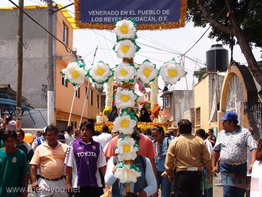 Festividad del SeÃ±or de la Misericordia / Mercy Lord Festivity 2006 (01-09)
El Domingo 20 de Agosto se llevÃ³ a cabo el Recibimiento del SeÃ±or de la Misericordia en el Pueblo de la Candelaria.

Sunday August 20th was carried out the receivement Mercy Lord in the Candlemas Town. 
Keywords: SeÃ±or de la Misericordia Mercy Lord Festivity Pueblo de la Candelaria town
