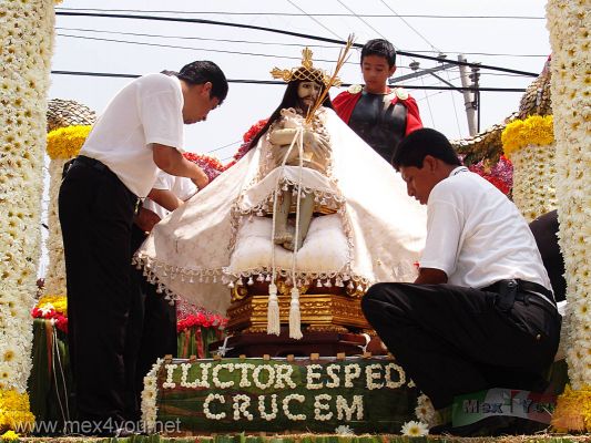 Festividad del SeÃ±or de la Misericordia / Mercy Lord Festivity 2006 (03-09)
Se procediÃ³ a llevar la sagrada imÃ¡gen a la Iglesia de la Candelaria. 

Then the sacred image was carried to the  Candlemas Church. 
Keywords: SeÃ±or de la Misericordia Mercy Lord Festivity Pueblo de la Candelaria town