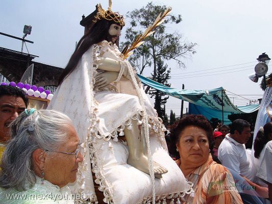 Festividad del SeÃ±or de la Misericordia / Mercy Lord Festivity 2006 (04-09)
La imÃ¡gen fuÃ© trasladada sobre los hombros de mujeres devotas. 

The image was caried on shoulders by devote women. 
Keywords: SeÃ±or de la Misericordia Mercy Lord Festivity Pueblo de la Candelaria town