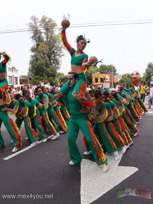 Carnaval de las Culturas 2006 en CoyoacÃ¡n /  Culture Carnival in CoyoacÃ¡n 2006 04- 14
AquÃ­ podemos ver al " cienpies " de Colombia con su alegre danza.

Here we can see the â€œcienpiesâ€ from Colombia with its glad dance. 
Keywords:  carnaval culturas coyoacan culture carnival colombia cienpies