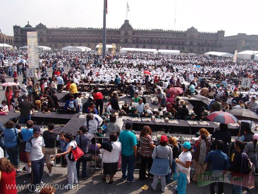 Festival de Ajedrez / Chess Festival MÃ©xico 2006    01-12
Con este festival se tratÃ³ de romper el record Guinness de mayor partidas simultÃ¡neas, con mÃ¡s de 14 mil participantes.

The objetive of this festival was break the Guinness record of simultaneous games, with more than 14 thousand participants.
Keywords: festival ajedrez chess zocalo ciudad de mexico city