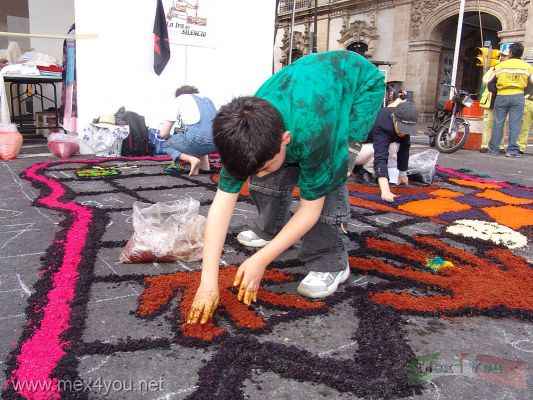 Festival de Ajedrez / Chess Festival MÃ©xico 2006    01-12
AdemÃ¡s de las partidas se llevaron a cabo tambiÃ©n actividades culturales alrededor del ZÃ³calo, como elaboraciÃ³n de tapetes de aserrÃ­n pintado a favor de las mujeres.

In addition to the event with the games were also carried out cultural activities around the ZÃ³calo , like elaboration of sawdust rugs painted in favor of the women.

Keywords: festival ajedrez chess zocalo ciudad de mexico city