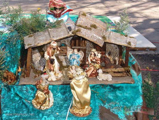 Eventos NavideÃ±os en la Ciudad de MÃ©xico  Nacimientos / Mexico City X-mas 2006 Nativity Scenes ( 15-15)
Que tal este hermoso nacimiento de la DelegaciÃ³n Gustavo A. Madero?

That so this beautiful Nativity Scene from  Gustavo A. Madero Delegation.
Keywords: Nacimientos Paseo  Reforma Nativity Scenes Paseo  Reforma avenue Navidad Christmas