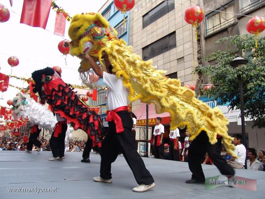 AÃ±o Chino en MÃ©xico/ Chinese Year in Mexico 2006    (01-12)
ComenzÃ³ la celebraciÃ³n del AÃ±o Nuevo Chino 4703  ' AÃ±o del Perro ' en el Barrio Chino de la Ciudad de MÃ©xico. 

Began the New Chinese Year Celebration 4703 ' Dog Year ' in the Chinatown in Mexico City.
Keywords: AÃ±o Chino  Mexico Chinese Year Mexico 2006 china