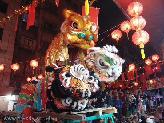 AÃ±o Chino en MÃ©xico/ Chinese Year in Mexico 2006    (07-12)
Los jovenes atletas realizaron la danza del leÃ³n en la entrada de los negocios Chinos para dar buena suerte a los mismos.

The young athletes done the  lion dance at the entrance of the Chinese businesses to give good luck such.
Keywords: AÃ±o Chino  Mexico Chinese Year Mexico 2006 china