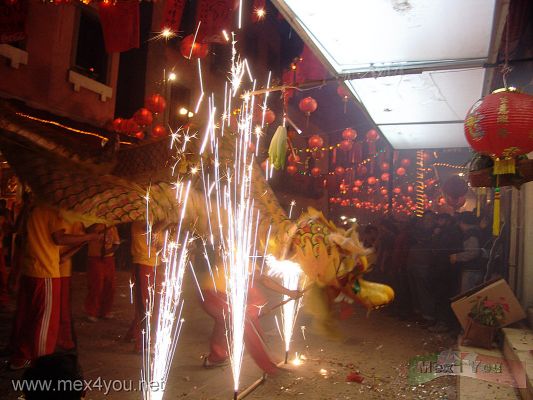 AÃ±o Chino en MÃ©xico/ Chinese Year in Mexico 2006   (08-12)
La celebraciÃ³n del aÃ±o chino se llevarÃ¡ a cabo hasta el dÃ­a 28 de Enero . No falte Â¡Â¡Â¡

The Chinese Year Celebration will be carried out until 28th January. Do not be lack Â¡Â¡
Keywords: AÃ±o Chino  Mexico Chinese Year Mexico 2006 china