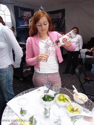 Toda Cuba en CoyoacÃ¡n 2006 / All Cuba in CoyoacÃ¡n 2006  09-12
Pero si usted quiere ponerse en ambiente podrÃ¡ disfrutar de un delicioso mojito.

If you want to put yourself in atmosphere you will get it with a  delicious mojito. 
Keywords: Toda Cuba Coyoacan all Cuba  Jardin Hidalgo Garden comida mojito
