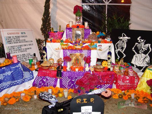 Preparativos para el Dia de Muertos/Before the Day of the Dead.(01-08)
A partir del 28 de Octubre empezaron los preparativos en la Ciudad de México para recibir el Día de Muertos.

From October 28th began the preparatives in Mexico City to receive the Day of the Dead. 
Keywords: Dia de Muertos en la Ciudad de México/ Day of the Dead in Mexico City.