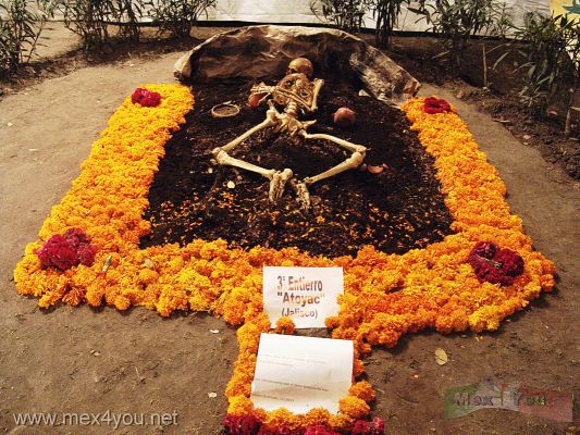 Preparativos para el Dia de Muertos/Before the Day of the Dead.(04-08)
... de diversos estados de nuestro país. 

...them from our Mexican province.  
Keywords: Dia de Muertos en la Ciudad de México/ Day of the Dead in Mexico City.